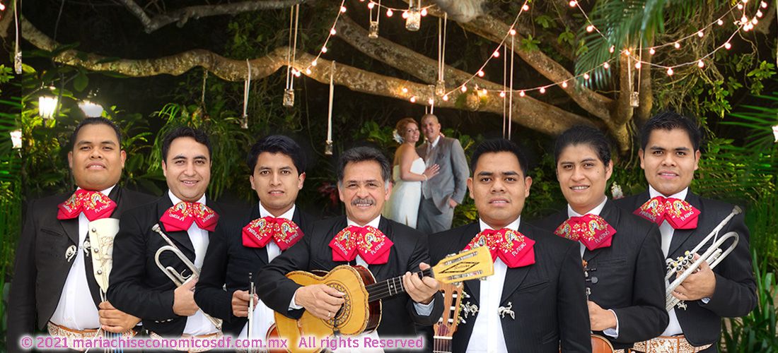 mariachi cdmx