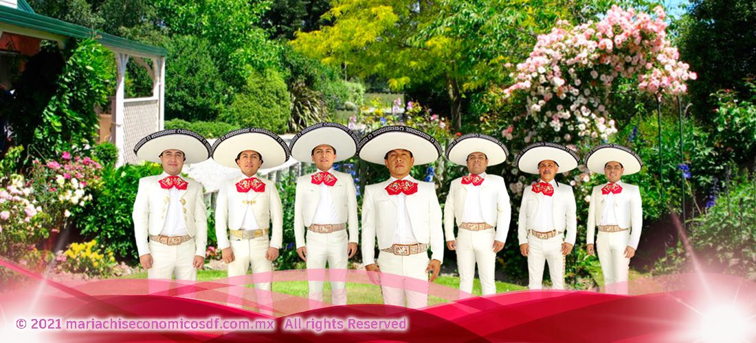 mariachis cdmx