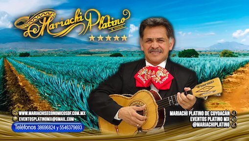 Mañanitas con Mariachis a domicilio en cdmx